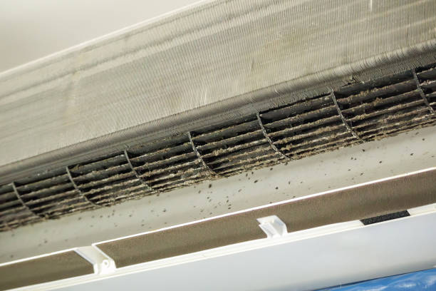 Best HVAC Air Duct Cleaning  in Forest Park, IL